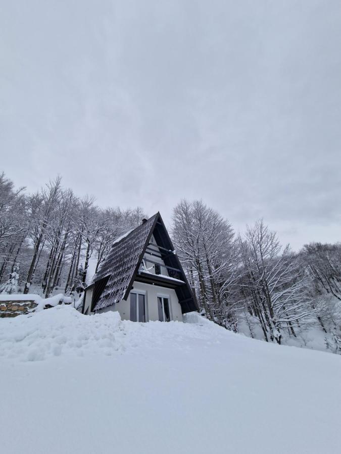Weekend House Nest