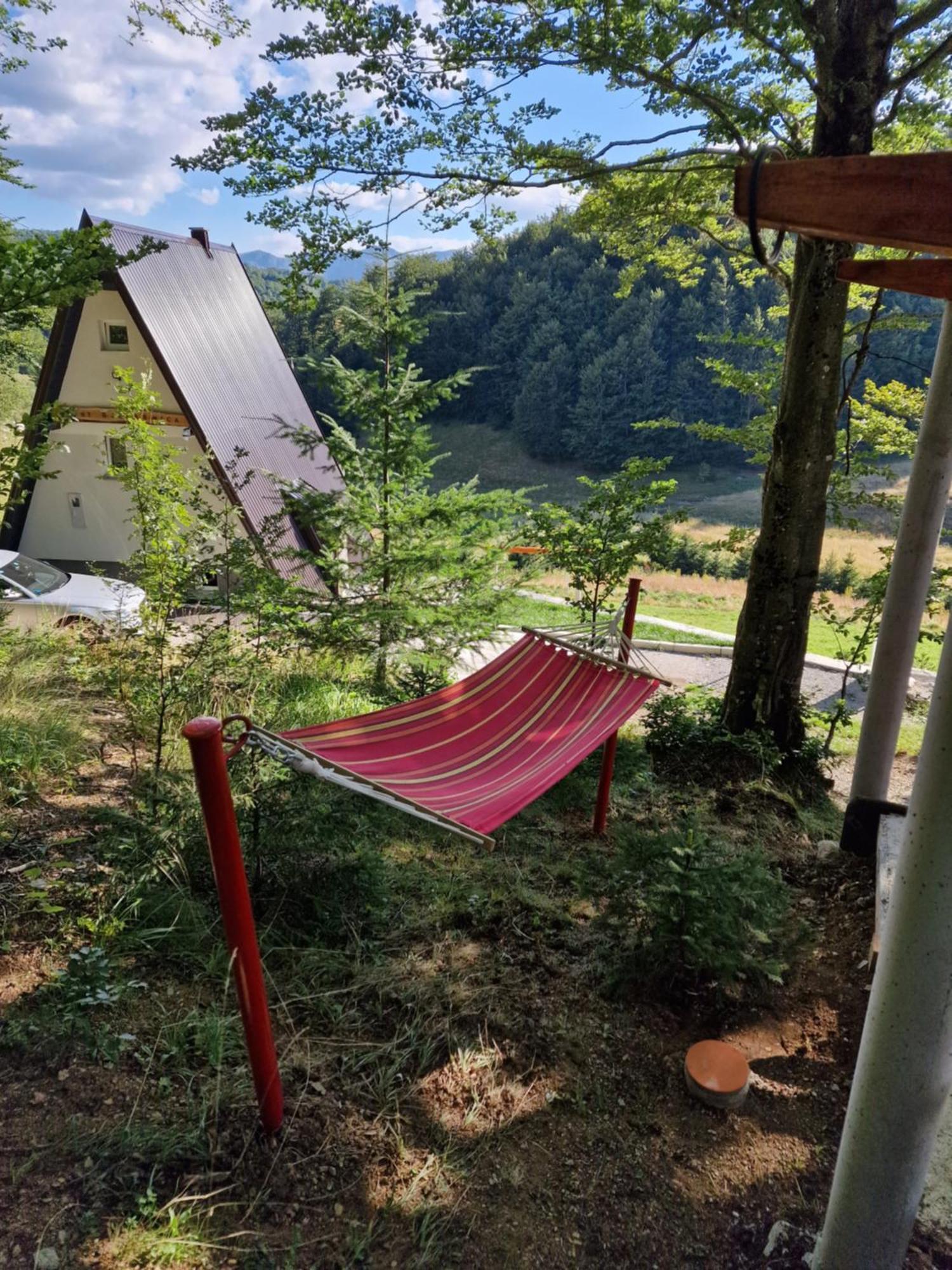 Weekend House Nest